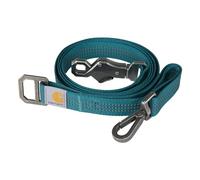 Carhartt Laisse en Nylon Durable pour Chiens, Coutures réfléchissantes pour Plus de visibilité, Gris ombragé, Taille L