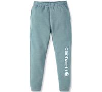 Carhartt Midweight Tapered Graphic Pantalon de survêtement, Vert/bleu, Taille M