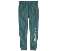 Carhartt Tapered Graphic, pantalon de jogging M Bleu Clair/Blanc Bleu Clair/Blanc