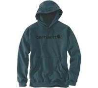 Carhartt Signature Logo Midweight Capuche, noir/vert, Taille XS