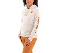 Carhartt Sweat à Capuche Iconic Clarksburg Logo