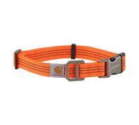 Carhartt Unisex's Dog Collar, Hunter Orange, L
