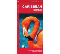 Caribbean Birds/Aves Caribenas: A Folding Pocket Guide To Familiar Species/Una Guia Plegable Portatil De Especies Conocidas