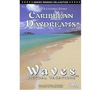Caribbean Daydreams - 6 Loopable Scenes / WAVES (SOLD OUT) - SEE Vol 10. Florida Beaches / WAVES: Virtual Vacations + Vol 9. Caribbean Daydreams (Side 2)