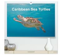 Caribbean Sea Turtles (High Quality Premium Wall Calendar 2026 DIN A2 landscape),CALVENDO 12 Month Wall Calendar: Magical encounter with sea turtles!
