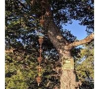 Carillon éolien en métal avec chaîne de pluie papillon pour une utilisation en extérieur et extérieur élégant en métal à suspendre, décoration créative de l'eau de pluie, son apaisant, résistant aux