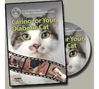 Caring for Your Diabetic Cat