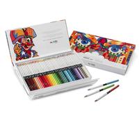 Carioca Plus I Crayons de couleur 4.0 en bois avec Mina épaisse et douce à haute pigmentation I Boîte rigide I Ø 4.0 mm Les 40 pièces