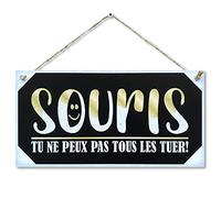 CARISPIBET Souris | enseignes pour la maison décoration drôles pour chez vous plaques décoratives décor de l'interieur 15 x 30 cm