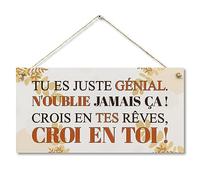CARISPIBET Tu es juste genial enseignes pour la maison affiches décoratives art murale cadeau de décoration enseigne inspirant de décoration d'interieur 15 x 30 cm