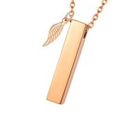 CARISSETT Collier urne antirouille avec médaillon funéraire pour animal de compagnie - Pendentif en forme d'aile angélique