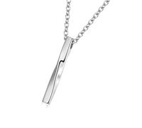 CARISSETT Élégant collier pour cendres d'animaux de compagnie avec un excellent sceau pour commémorer votre animal de compagnie et votre famille