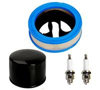 Carkio 392642 394018 271271 filtre à air 492932 492932s filtre à huile Bougie d'allumage Compatible with Briggs & Stratton Vanguard V-twin 12.5-21hp