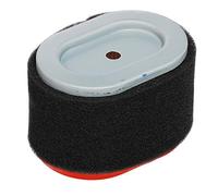 Carkio 796970 Pré-filtre à air compatible avec tondeuse à gazon Briggs & Stratton 5.50 Gross Torque 083132 et 083152
