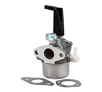 Carkio Carburateur 696065 avec joint pour Briggs Stratton 697422 110412 110402