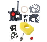 Carkio Carburateur avec filtre à air 698369 Compatible with Briggs & Stratton 795477, 795469, 794147, 699660, 794161, 498811