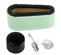 Carkio Filtre à air, filtre à carburant, valve d'arrêt de carburant 492932 Filtre à huile Compatible with moteurs Briggs & Stratton 12.5-17 HP 496894 394358 494768