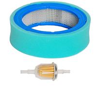 Carkio Filtre à air pré-nettoyant pour Filtre à Carburant John Deere LT166 LT170 LTR155 LTR166 SST16 SST18 LX288 GT235 GT125E Sabre 2048HV 1846HV 1 Set