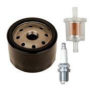 Carkio Filtre à huile avec filtre à carburant 493629 Compatible with Briggs & Stratton 492056 492932 492932S 695396 696854 795890 842921 4154