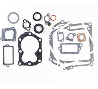 Carkio Lot de Joints de Moteur de Compatible with Briggs & Stratton 590777 Old Briggs & Stratton 794209 699933 298989