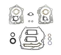 Carkio Lot de joints de valve de replacement Compatible with Briggs & Stratton 590508 Old Briggs & Stratton 794307 497316