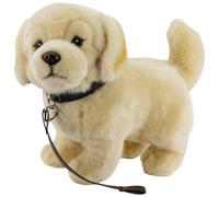 Carl Dick Chien Golden Retriever avec Laisse 24 cm, Peluche, Jouet en Tissu, Animal en Peluche 3633