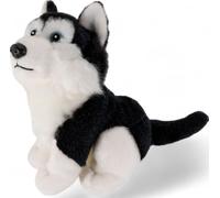 Carl Dick Husky, noir, assis, chien, env. 16cm 1672004 Doudou, peluche, animal en tissu