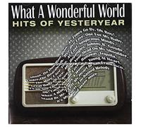 Various Artists - What a Wonderful World: The Hits of [Import]