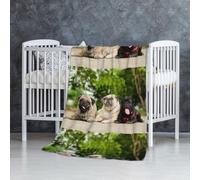 Carlin Amitié Bokeh Chiens Animaux Amis Carlin,Couverture Douce et Chaude en Flanelle Anti-Boulochage 76 x 127 cm