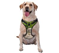Carlin Amitié Bokeh Chiens Animaux Amis Carlin,Harnais pour Animaux de Compagnie, Harnais réfléchissant réglable pour Chien,S