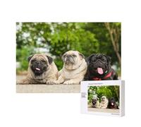 Carlin Amitié Bokeh Chiens Animaux Amis Carlin,Puzzle Familial en Bois de 300 pièces pour Adultes et Adolescents, décoration d'intérieur