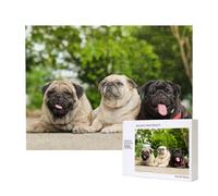 Carlin Amitié Bokeh Chiens Animaux Amis Carlin,Puzzle Familial en Bois de 500 pièces pour Adultes et Adolescents, décoration d'intérieur