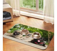 Carlin Amitié Bokeh Chiens Animaux Amis Carlin,Tapis d'alimentation pour Animaux de Compagnie, Sets de Table en Cuir PU pour Chats et Chiens,40x60cm