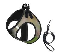 Carlin Bokeh Chiots Chiens Pelouse Animaux Carlin,Harnais pour Animaux de Compagnie, Harnais réfléchissant réglable pour Chien,M