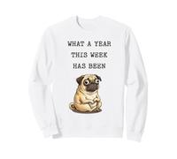 Carlin stressé : Quelle année s'est passée Cette Semaine ? Sweatshirt