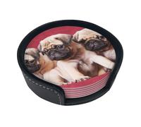 Carlins Canapés Couvertures Photographies Couleur,Lot de 6 Dessous de Verre Ronds en Cuir synthétique avec Support pour la Maison, Le Bureau et la Cuisine