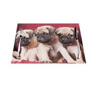 Carlins, canapés, couvertures, Photographies en Couleur,Lot de 6 Sets de Table lavables en PVC résistant à la Chaleur, 30 x 45 cm