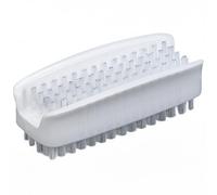 Carlisle 3623900 Sparta Lot de 24 brosses à Main et Ongles en Plastique Poils en polypropylène Longueur 3,8 cm Largeur 8,9 cm