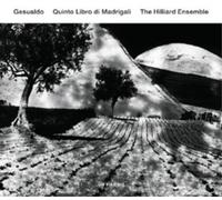 Carlo Gesualdo Gesualdo: Quinto Libro Di Madrigali (CD) Album