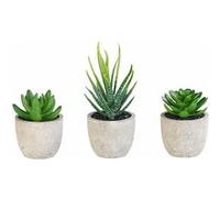 Plantes artificielles - CARLO MILANO - Succulentes - Pack de 3 - Faciles d'entretien - Vert