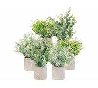 Carlo Milano 6 plantes artificielles en pots 21 / 23 / 26 cm