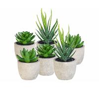 Carlo Milano 6 succulentes artificielles en pots 8 / 9 / 15 cm