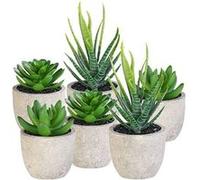 Carlo Milano : 6 succulentes artificielles en pots 8 / 9 / 15 cm G