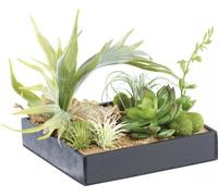 Carlo Milano Tableau végétal avec cadre - Herbacées - 20 x 20 cm