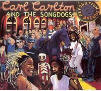 Carlton & the Songdogs,Carl - Revolution Avenue [Import]