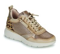 Carmela Baskets basses 162513-BEIGE in Beige 36