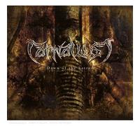 Carnal Lust - Dawn of The Hatred [Import]