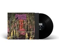 Carnal Tomb - Embalmed In Decay