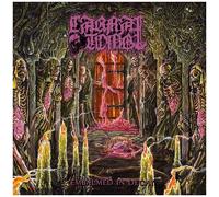 Embalmed in Decay