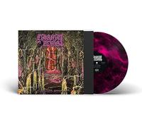 Carnal Tomb - Embalmed in Decay (Trans-Magenta/Black Marbled Lp)